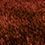 Indulgence Shaggy Terracotta